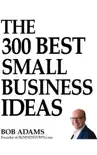 The 300 Best Small Business Ideas synopsis, comments