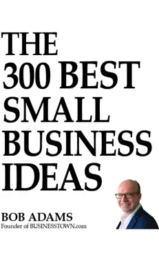 the 300 best small business ideas book cover image