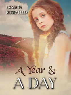 a year and a day book cover image