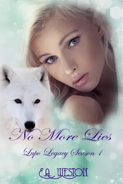no more lies book cover image