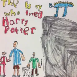 the boy who loved harry potter book cover image