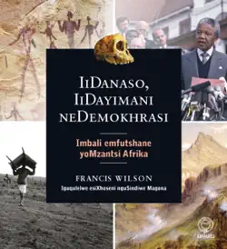 iidanaso, iidayimani nedemokhrasi book cover image