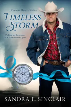 timeless storm book cover image