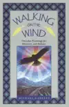 Walking on the Wind synopsis, comments