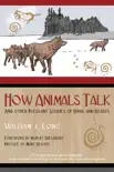 How Animals Talk synopsis, comments
