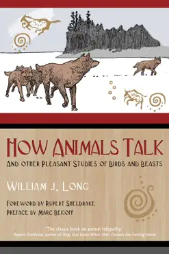 how animals talk imagen de la portada del libro