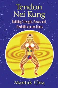 tendon nei kung book cover image