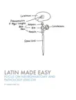 Latin Made Easy sinopsis y comentarios