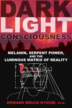 dark light consciousness book cover image