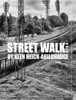 street walk - riga book cover image