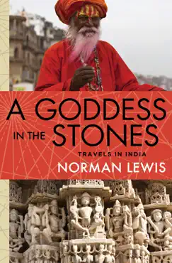 a goddess in the stones book cover image