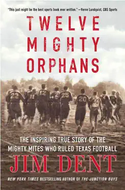 twelve mighty orphans book cover image