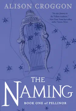 the naming book cover image
