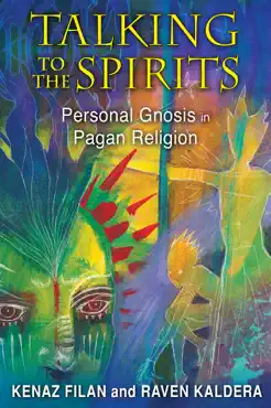 talking to the spirits book cover image