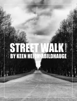 street walk - st. petersburg book cover image
