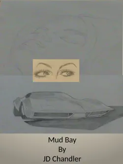 mud bay book cover image