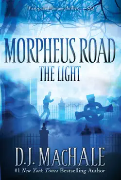 the light book cover image