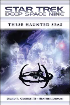 star trek: deep space nine: these haunted seas book cover image