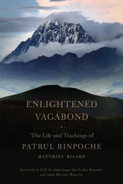 enlightened vagabond book cover image