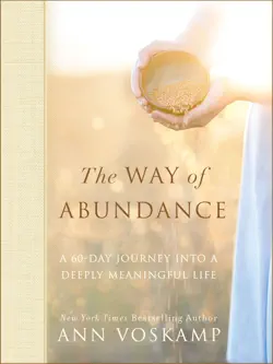 the way of abundance book cover image