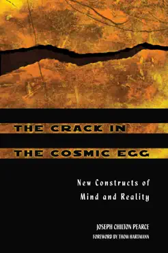 the crack in the cosmic egg book cover image