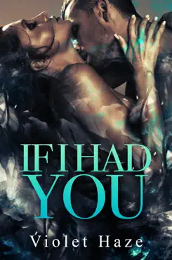 if i had you book cover image