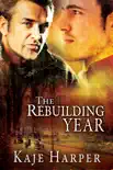 The Rebuilding Year synopsis, comments