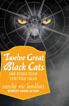 twelve great black cats book cover image