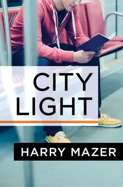 city light book cover image