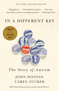 in a different key book cover image