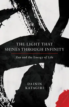 the light that shines through infinity book cover image