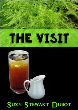the visit book cover image