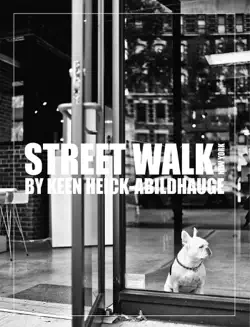 street walk - new york book cover image