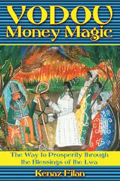 vodou money magic book cover image