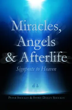 miracles, angels & afterlife book cover image