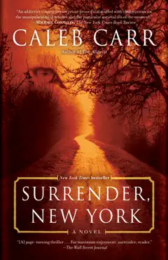 surrender, new york book cover image