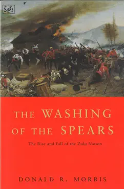the washing of the spears imagen de la portada del libro