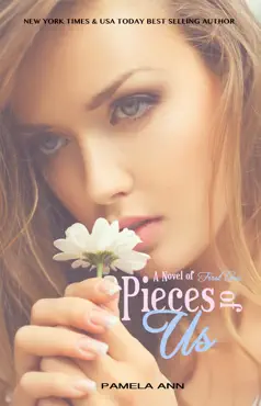 pieces of us book cover image