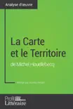 La Carte et le Territoire de Michel Houellebecq (Analyse approfondie) sinopsis y comentarios