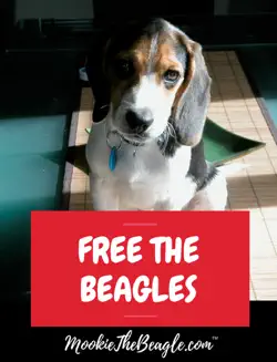 mookiethebeagle.com free the beagles book cover image