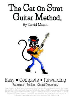 the cat on strat guitar method book cover image