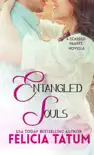 Entangled Souls synopsis, comments