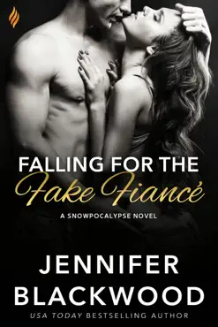 falling for the fake fiance book cover image