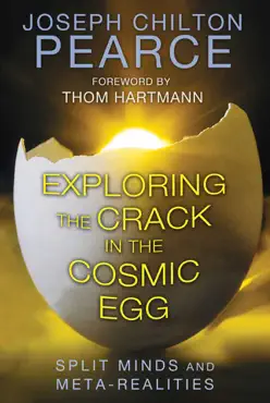 exploring the crack in the cosmic egg book cover image
