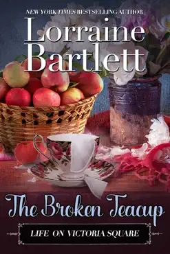 the broken teacup book cover image