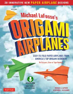 planes for brains book cover image