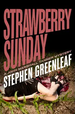 strawberry sunday book cover image