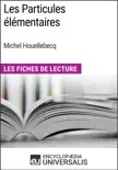 Les Particules élémentaires de Michel Houellebecq sinopsis y comentarios