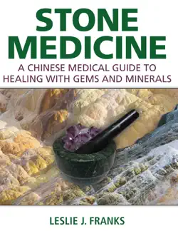 stone medicine book cover image