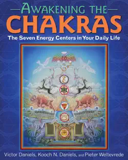 awakening the chakras book cover image